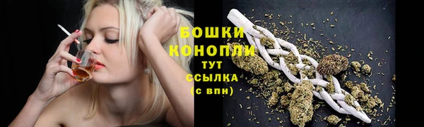 PSILOCYBIN Алзамай