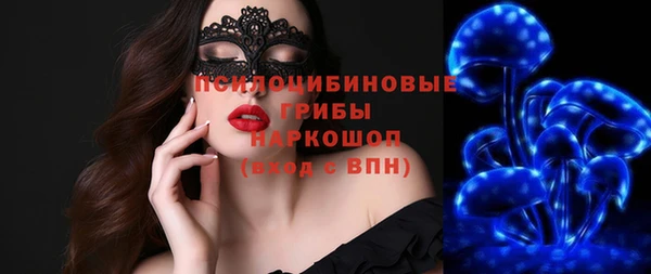 PSILOCYBIN Алзамай