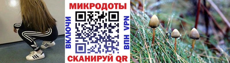 Псилоцибиновые грибы мицелий Ревда